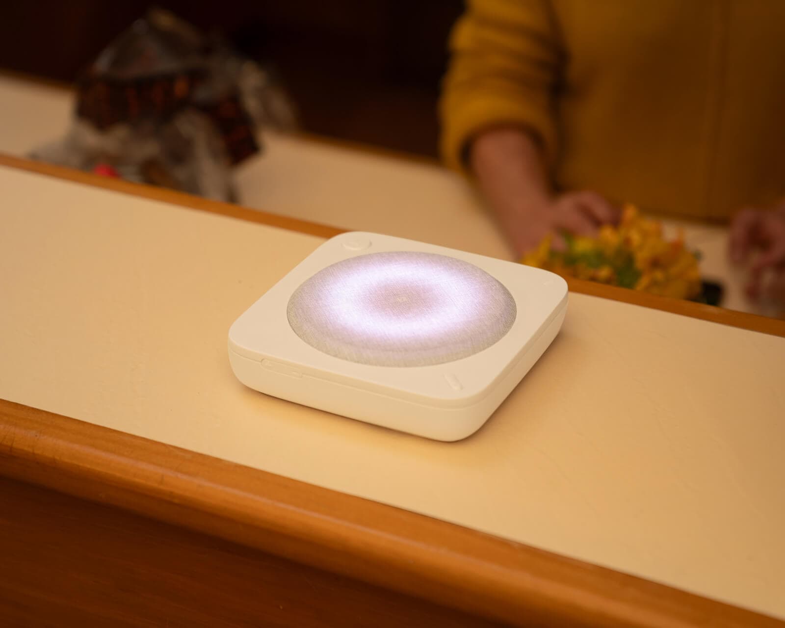 Umps Home Alarm accessible features