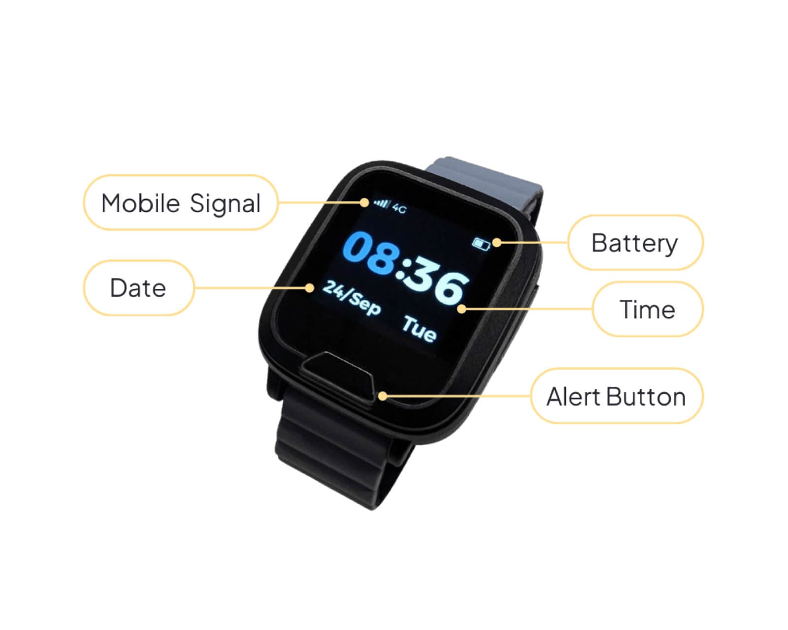 Umps Mobile Alarm 12